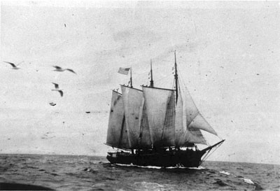 Lumber schooner Wawona, photographed around 1900.